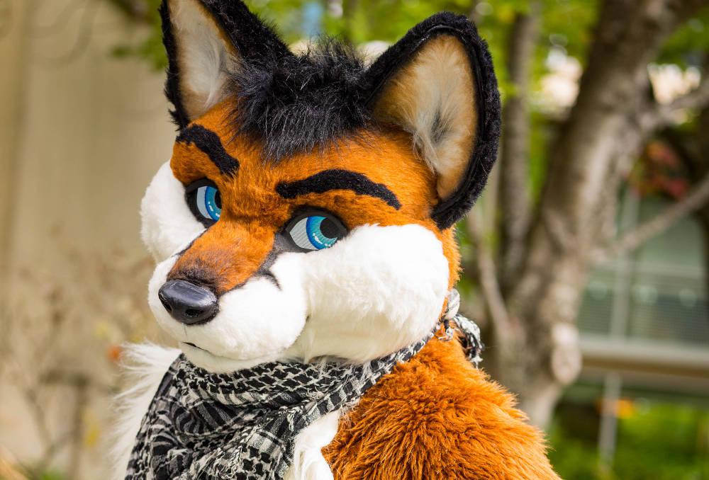 Ein Fuchs-Furry